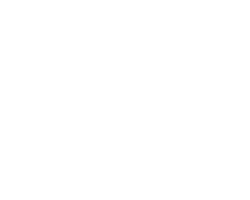 logo_stone_bco_trans200